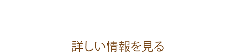 月々13200円～プラン